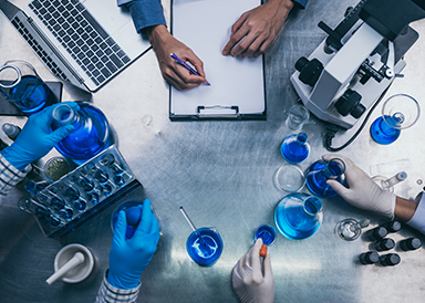 Equipo experto en investigación y desarrollo